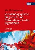 Sozialpädagogische Diagnostik und Fallverstehen in der Jugendhilfe