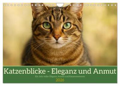Katzenblicke - Eleganz und Anmut (Wandkalender 2026 DIN A4 quer), CALVENDO Monatskalender