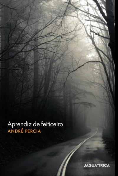 Aprendiz de feiticeiro