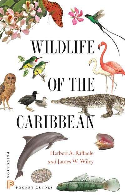 Wildlife of the Caribbean