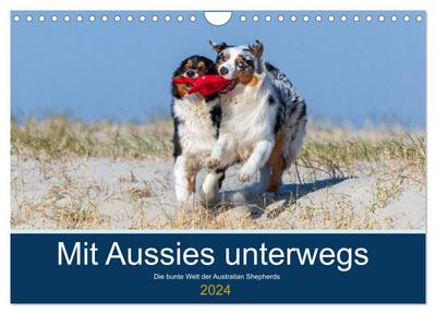 Mit Aussies unterwegs - Die bunte Welt der Australian Shepherds (Wandkalender 2024 DIN A4 quer), CALVENDO Monatskalender
