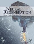 Neural Regeneration