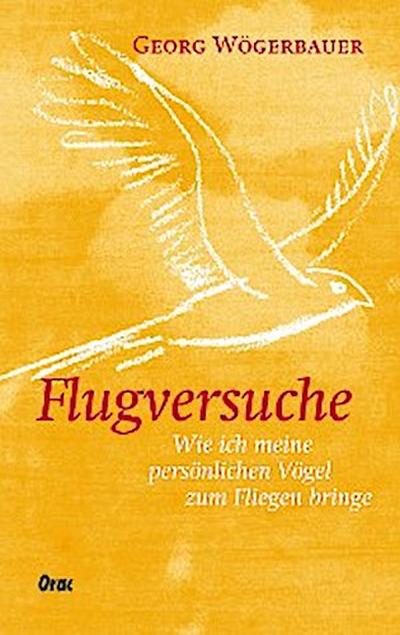 Flugversuche