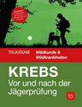 Vor und nach der Jägerprüfung - Teilausgabe Wildkunde & Wildkrankheiten