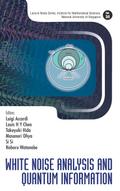 WHITE NOISE ANALYSIS AND QUANTUM INFORMATION