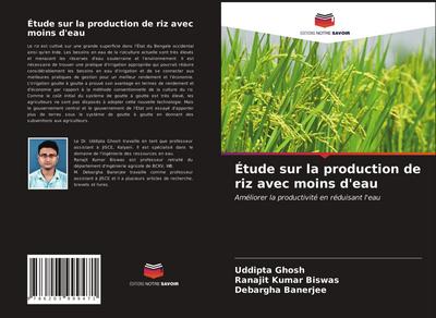 Étude sur la production de riz avec moins d’eau