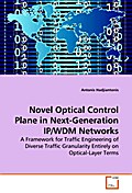 Novel Optical Control Plane in Next-Generation IP/