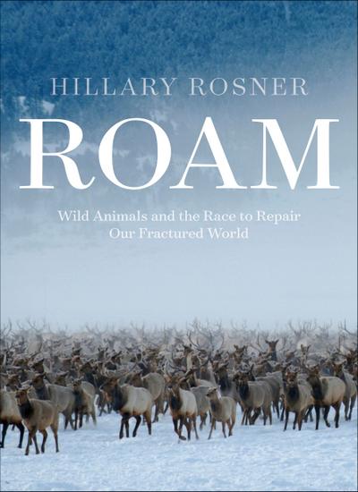 Roam