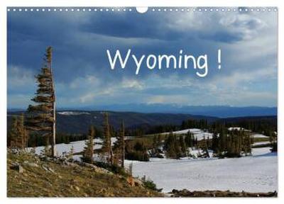 Wyoming! (Wandkalender 2026 DIN A3 quer), CALVENDO Monatskalender