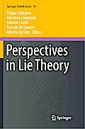 Perspectives in Lie Theory