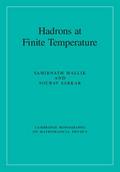 Hadrons at Finite Temperature