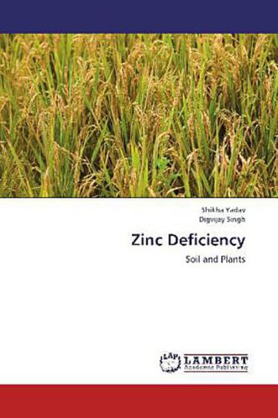 Zinc Deficiency