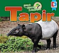 Animals of the Amazon Rainforest: Tapir