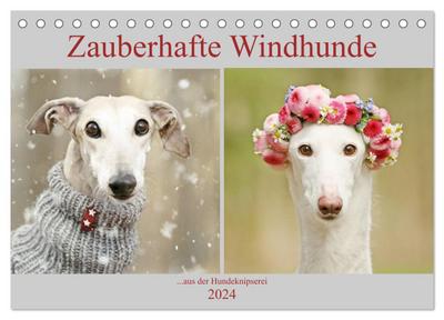 Zauberhafte Windhunde (Tischkalender 2024 DIN A5 quer), CALVENDO Monatskalender