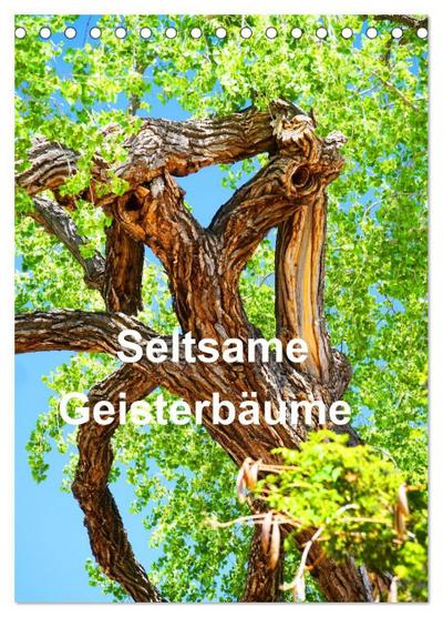 Geisterbäume (Tischkalender 2026 DIN A5 hoch), CALVENDO Monatskalender