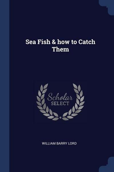 Sea Fish & how to Catch Them