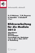 Bildverarbeitung für die Medizin 2013