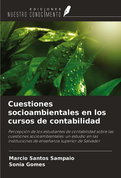 Cuestiones socioambientales en los cursos de contabilidad