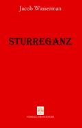 Sturreganz