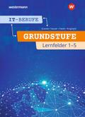 IT-Berufe: Grundstufe Lernfelder 1-5 Schulbuch