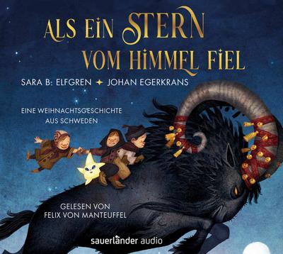 Als ein Stern vom Himmel fiel