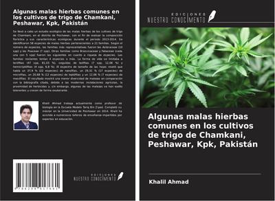 Algunas malas hierbas comunes en los cultivos de trigo de Chamkani, Peshawar, Kpk, Pakistán