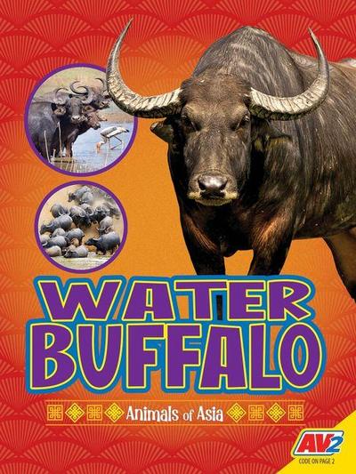 Water Buffalo