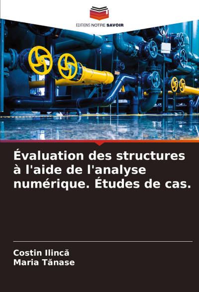 Évaluation des structures à l’aide de l’analyse numérique. Études de cas.