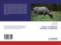 Impact of Helminth Parasites in Buffaloes