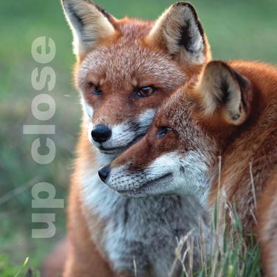 Francis, G: UP CLOSE