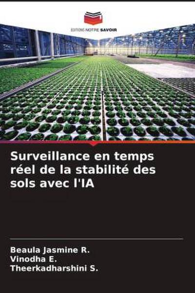 Surveillance en temps réel de la stabilité des sols avec l’IA