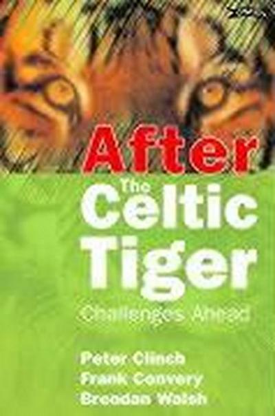 After the Celtic Tiger