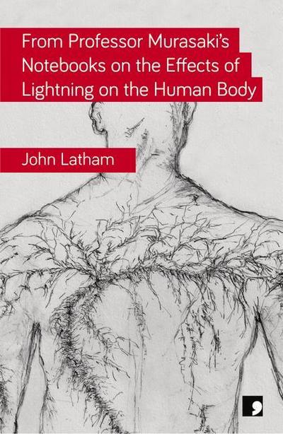 From Professor Murasaki’s Notebooks on the Effects of Lightning on the Human Body