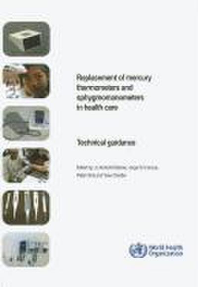 Replacement of Mercury Thermometers and Sphygmomanometers in Health Care