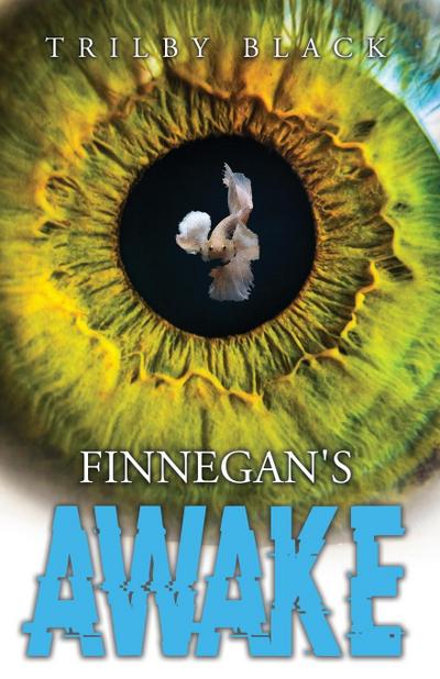 Finnegan’s Awake