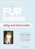 Fur Babies: Why We Love Cats