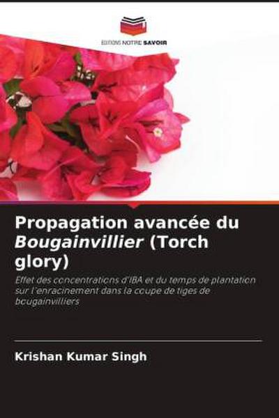 Propagation avancée du Bougainvillier (Torch glory)