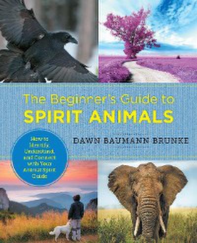 The Beginner’s Guide to Spirit Animals