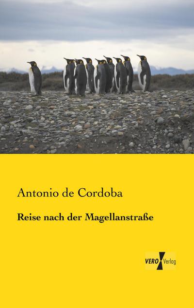 Reise nach der Magellanstraße