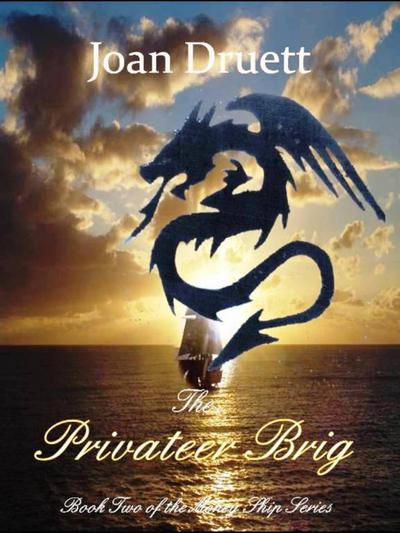 The Privateer Brig (The Money Ship, #2)