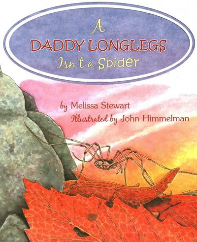 Daddy Longlegs Isn’t a Spider