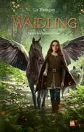 Waidling (Band 2): Stadt der Geheimnisse