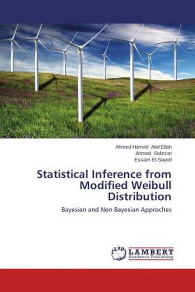 Statistical Inference from Modified Weibull Distribution