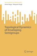 Topological Dynamics of Enveloping Semigroups