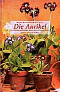 Die Aurikel