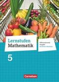 Lernstufen Mathematik - Differenzierende Ausgabe N