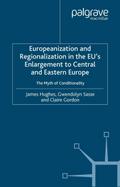 Europeanization and Regionalization in the EU’s Enlargement to Central and Eastern Europe