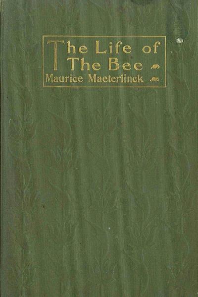 Life of the Bee