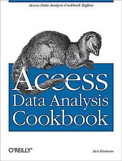 Access Data Analysis Cookbook