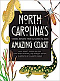 North Carolina’s Amazing Coast